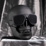 Rogue Skull Speaker